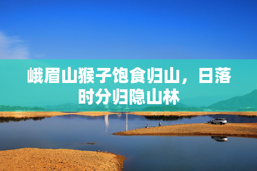 峨眉山猴子饱食归山，日落时分归隐山林