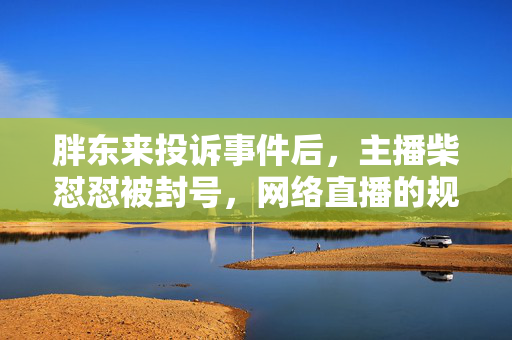 胖东来投诉事件后，主播柴怼怼被封号，网络直播的规范与责任探讨