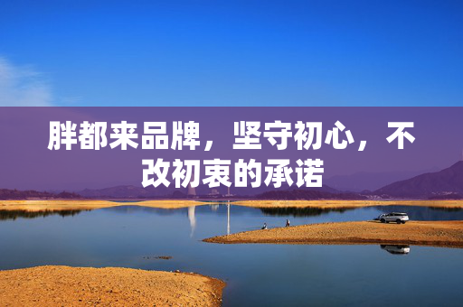 胖都来品牌，坚守初心，不改初衷的承诺