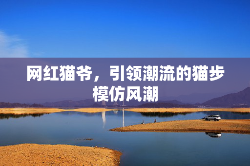 网红猫爷，引领潮流的猫步模仿风潮