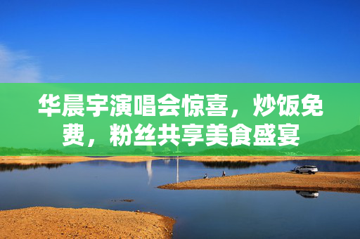 华晨宇演唱会惊喜，炒饭免费，粉丝共享美食盛宴
