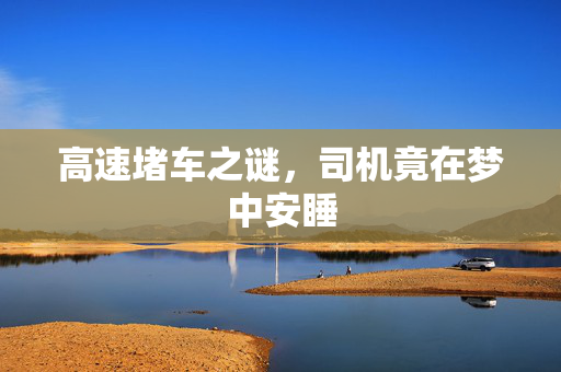 高速堵车之谜，司机竟在梦中安睡