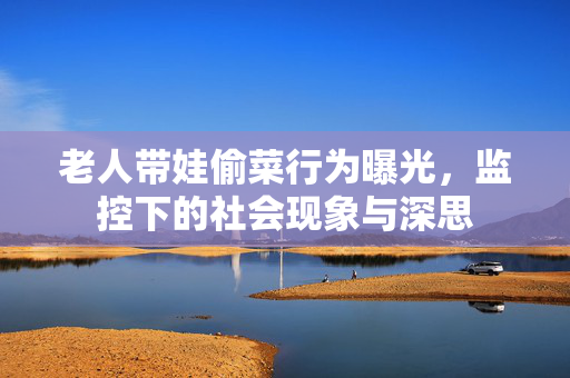 老人带娃偷菜行为曝光，监控下的社会现象与深思