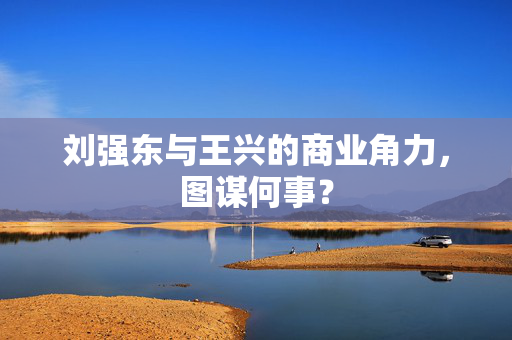 刘强东与王兴的商业角力，图谋何事？