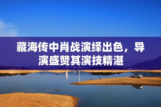 藏海传中肖战演绎出色，导演盛赞其演技精湛