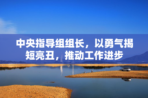 中央指导组组长，以勇气揭短亮丑，推动工作进步