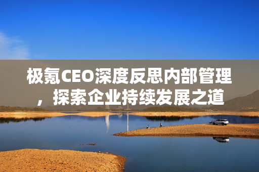 极氪CEO深度反思内部管理，探索企业持续发展之道