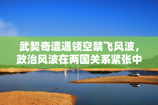 武契奇遭遇领空禁飞风波，政治风波在两国关系紧张中蔓延