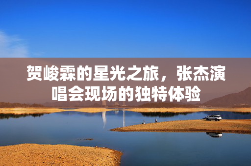 贺峻霖的星光之旅，张杰演唱会现场的独特体验