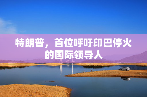 特朗普，首位呼吁印巴停火的国际领导人