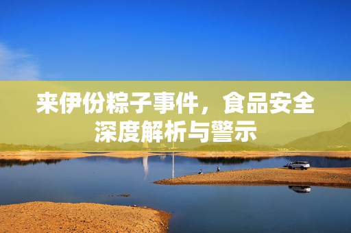 来伊份粽子事件，食品安全深度解析与警示