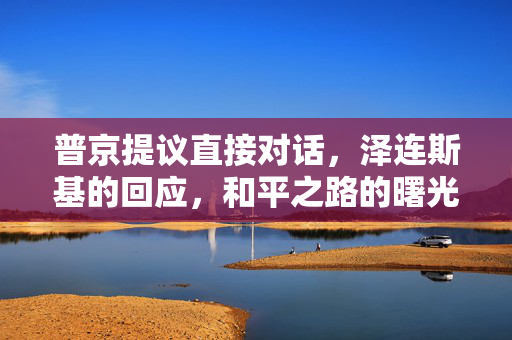 普京提议直接对话，泽连斯基的回应，和平之路的曙光