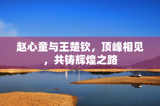 赵心童与王楚钦，顶峰相见，共铸辉煌之路