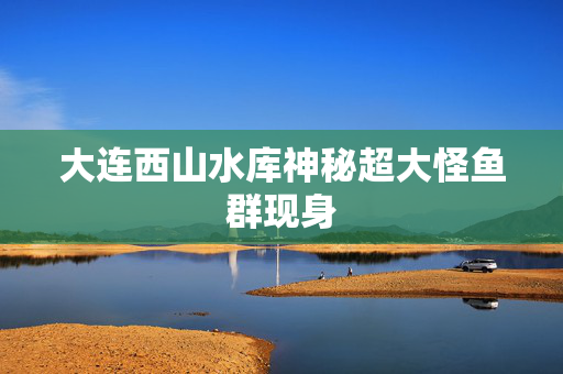 大连西山水库神秘超大怪鱼群现身