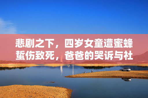 悲剧之下，四岁女童遭蜜蜂蜇伤致死，爸爸的哭诉与社会反思的呼唤