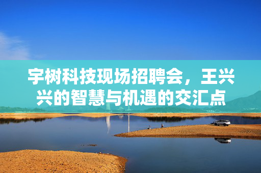 宇树科技现场招聘会，王兴兴的智慧与机遇的交汇点