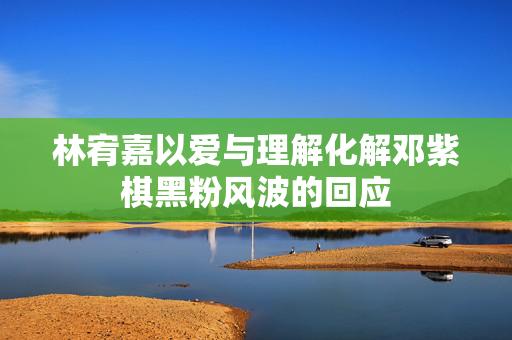 林宥嘉以爱与理解化解邓紫棋黑粉风波的回应
