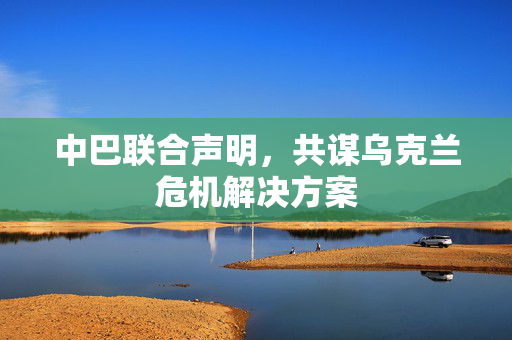 中巴联合声明，共谋乌克兰危机解决方案
