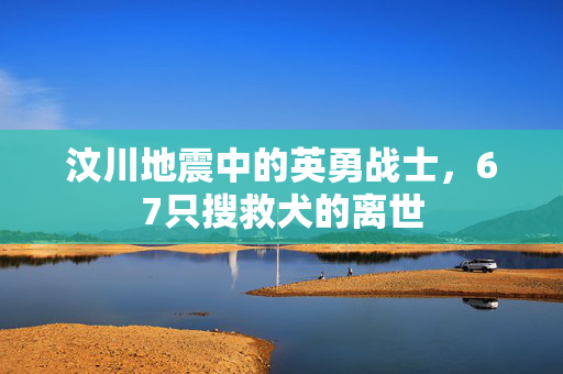 汶川地震中的英勇战士，67只搜救犬的离世