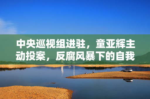 中央巡视组进驻，童亚辉主动投案，反腐风暴下的自我救赎之路