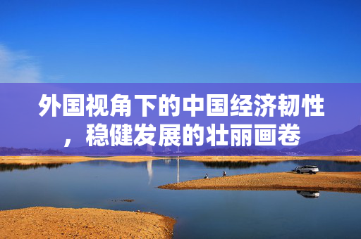 外国视角下的中国经济韧性，稳健发展的壮丽画卷