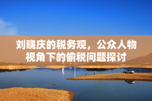 刘晓庆的税务观，公众人物视角下的偷税问题探讨