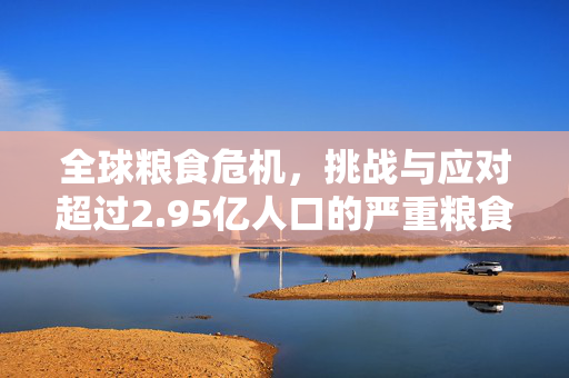 全球粮食危机，挑战与应对超过2.95亿人口的严重粮食不安全