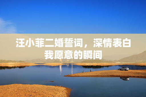 汪小菲二婚誓词，深情表白我愿意的瞬间