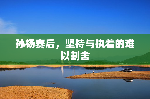 孙杨赛后，坚持与执着的难以割舍