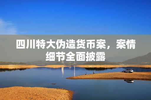 四川特大伪造货币案，案情细节全面披露