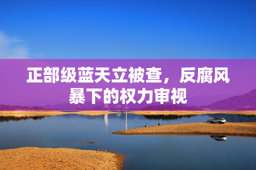 正部级蓝天立被查，反腐风暴下的权力审视