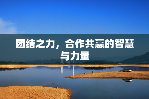 团结之力，合作共赢的智慧与力量