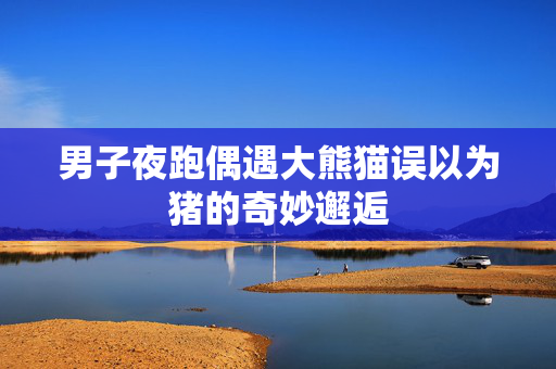 男子夜跑偶遇大熊猫误以为猪的奇妙邂逅