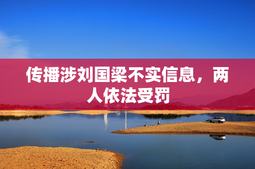传播涉刘国梁不实信息，两人依法受罚