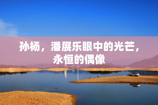 孙杨，潘展乐眼中的光芒，永恒的偶像