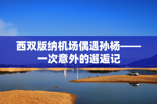 西双版纳机场偶遇孙杨——一次意外的邂逅记