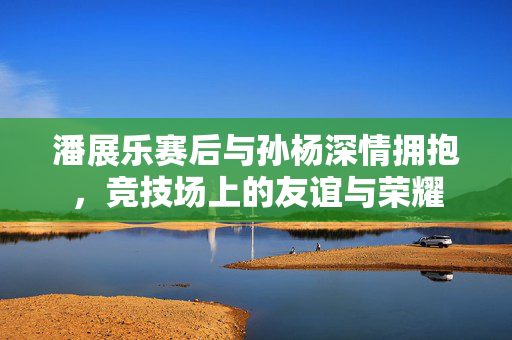 潘展乐赛后与孙杨深情拥抱，竞技场上的友谊与荣耀