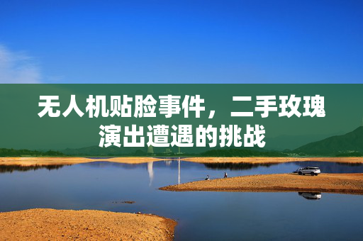 无人机贴脸事件，二手玫瑰演出遭遇的挑战