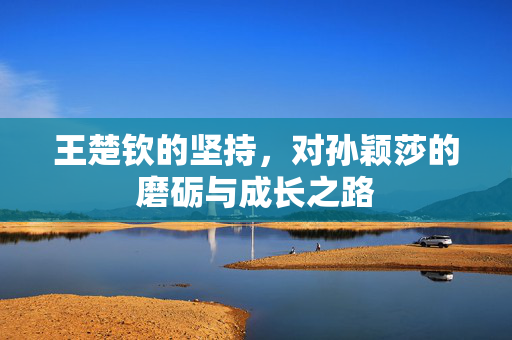 王楚钦的坚持，对孙颖莎的磨砺与成长之路