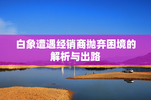 白象遭遇经销商抛弃困境的解析与出路