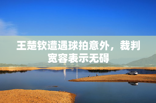 王楚钦遭遇球拍意外，裁判宽容表示无碍