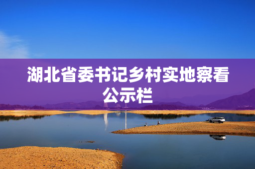 湖北省委书记乡村实地察看公示栏