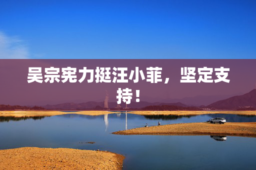吴宗宪力挺汪小菲，坚定支持！