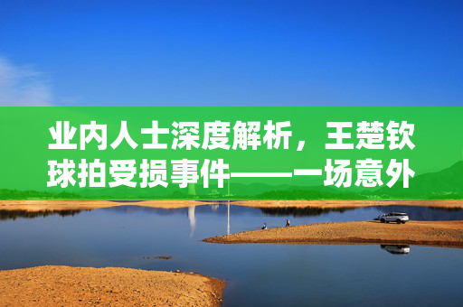 业内人士深度解析，王楚钦球拍受损事件——一场意外的可能性