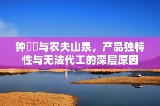 钟睒睒与农夫山泉，产品独特性与无法代工的深层原因