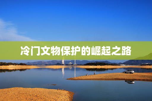 冷门文物保护的崛起之路