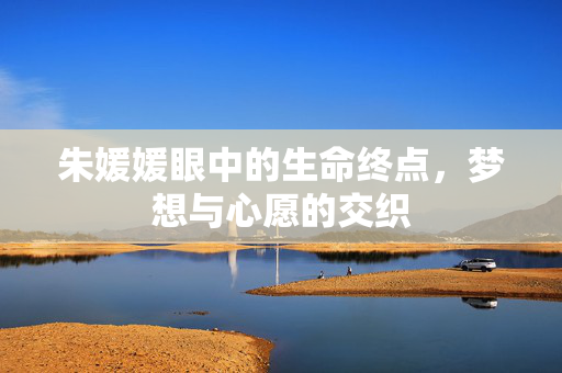 朱媛媛眼中的生命终点，梦想与心愿的交织