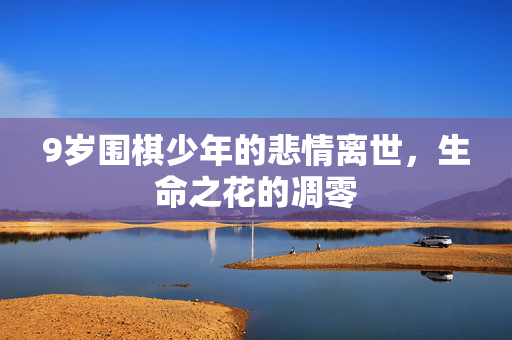 9岁围棋少年的悲情离世，生命之花的凋零