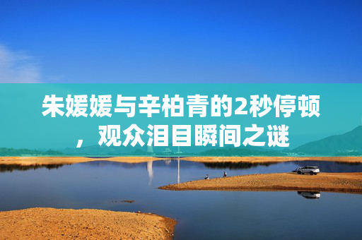 朱媛媛与辛柏青的2秒停顿，观众泪目瞬间之谜
