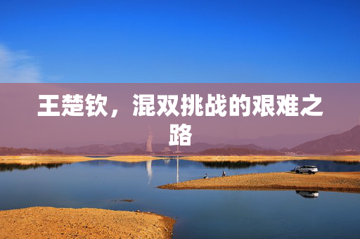 王楚钦，混双挑战的艰难之路